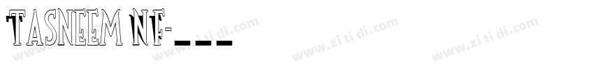 Tasneem NF字体转换